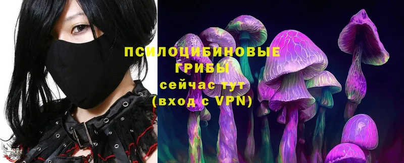 Галлюциногенные грибы Magic Shrooms  как найти наркотики  маркетплейс телеграм  Троицк 